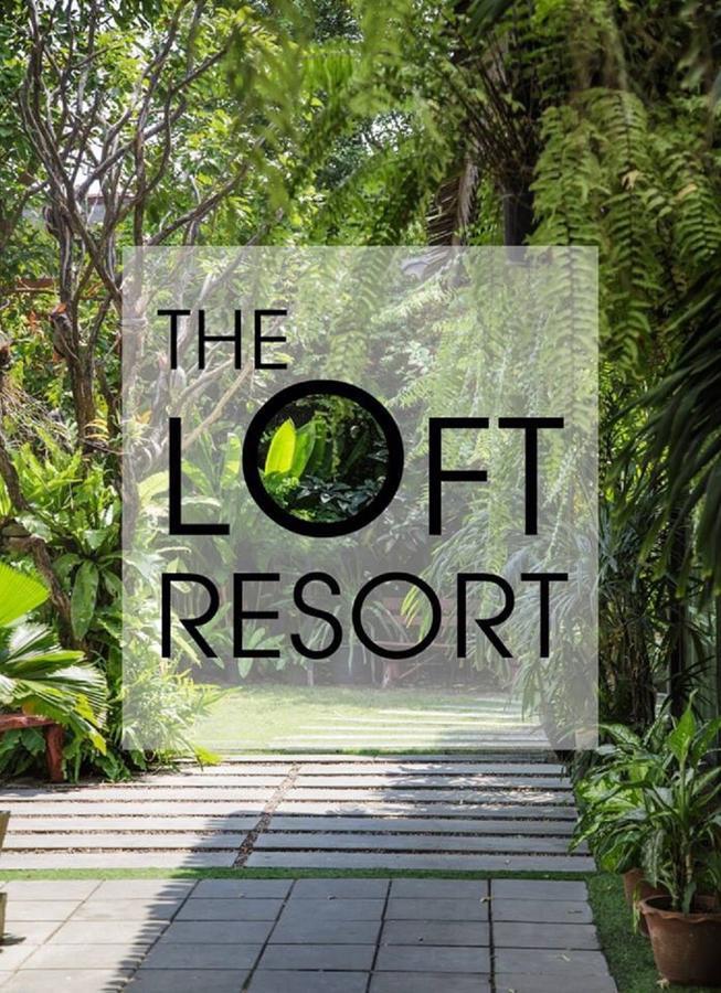 Penginapan The Loft